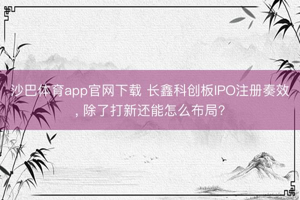 沙巴体育app官网下载 长鑫科创板IPO注册奏效， 除了打新还能怎么布局?