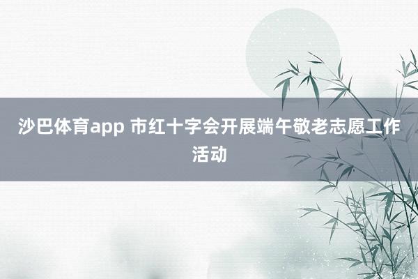 沙巴体育app 市红十字会开展端午敬老志愿工作活动